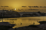 Fotografía de paisaje de un cálido amanecer con un spescan diferentes especiesde aves antes de su partida hacia otras ol dorado que baña a contraluz las dunas de Maspalomas y su charca de aguas salobres sobre las que tierras en sus viajes migratorios