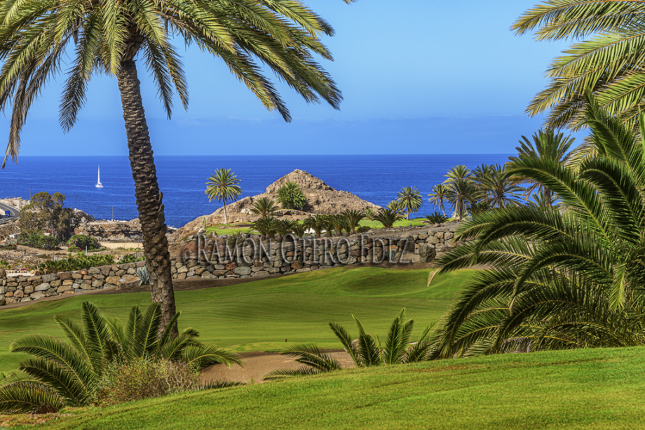 Vista entre palmeras desde ef Anfi Tauro el hoyo 8 hacia el mar desde el campo de golf el sur de Gran Canaria